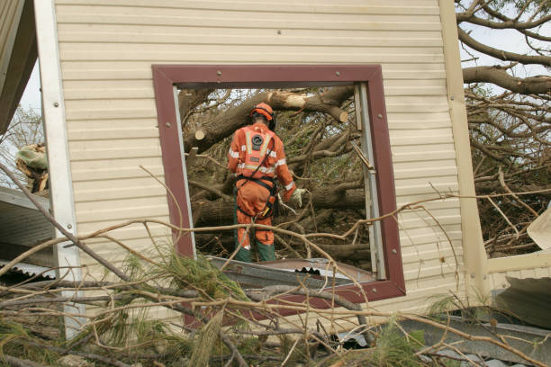 Best Storm Damage Tree Cleanup  in Newark, NJ